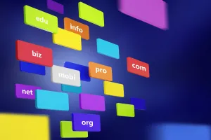 Alan adı (Domain) nedir? Alan adları nasıl seçilir? Nasıl alınır ve satılır?