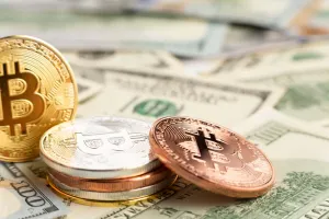 Bitcoin ve Geleneksel Finansal Sistemi Arasındaki Farklar