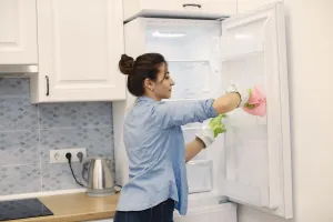 Buzdolabı ve Dondurucu Temizliği Nasıl Yapılır? Hızlı İpuçları