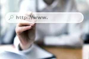 Domain sahibi sorgulama programı: Karen's WhoIs
