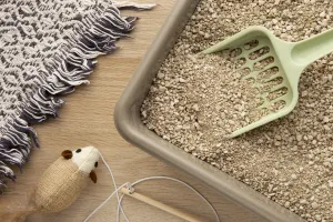 Kedi Kumu: Temizlik ve Sağlık için Uygun Seçimler - PawStore