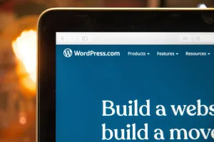 Minimalist WordPress Temaları ile Göz Alıcı Tasarımlar