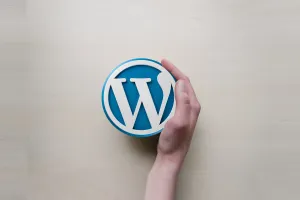 WordPress sitenizi jet hızına taşıyacak 15 etkili hızlandırma eklentisi