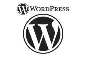 WordPress nedir? Ne işe yarar? WordPress başlangıç kılavuzu