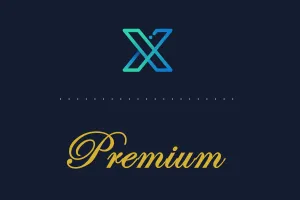 X Premium: Nedir, Nasıl Çalışır ve Türkiye'de Ne Kadar?