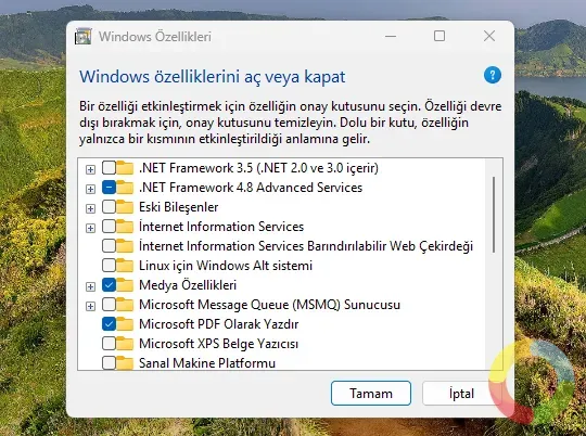 Windows özelliklerini aç veya kapat menüsünde WSL seçeneğinin kapatıldığı ekran görüntüsü