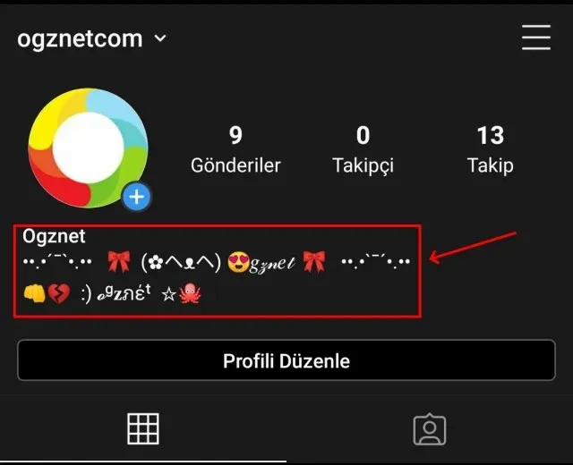 Instagram Biyografi Nasıl Biçimlendirilir?
