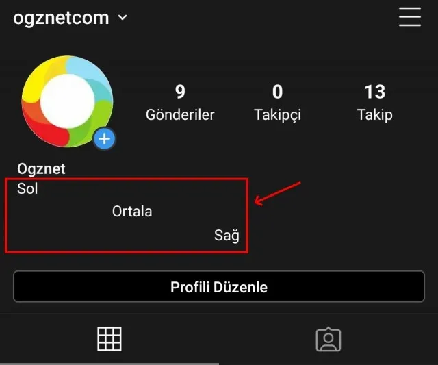 Instagram Biyografinizi Hizalama