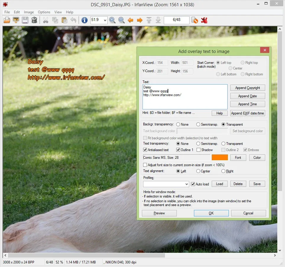 IrfanView programının ekran görüntüsü, fotoğraflara tarih ve saat damgası ekleme işlemi